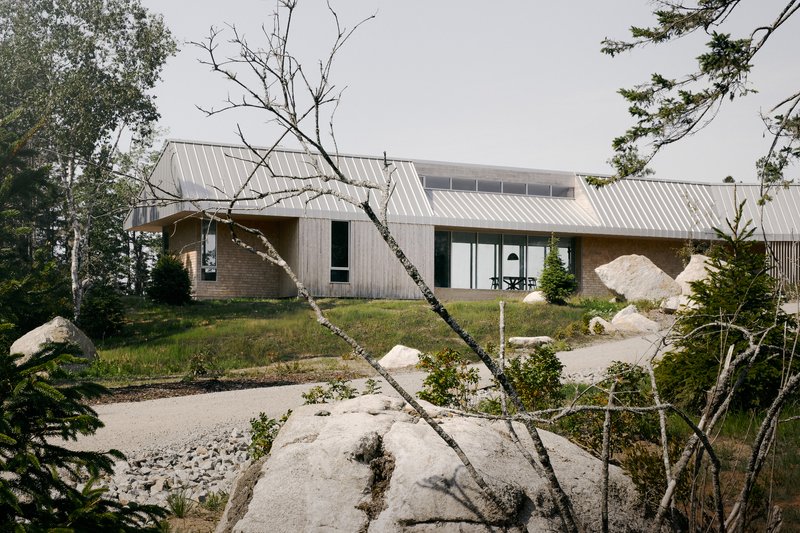 Low-slung metal roof stretching across the landscape with a bare birch in the foreground