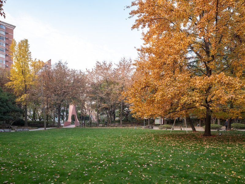 Pink sculptural form visible across the park lawn under golden autumn trees at dusk