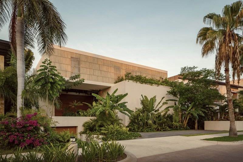 Street view of the slatted timber upper volume above a planted forecourt with palms and bougainvillea