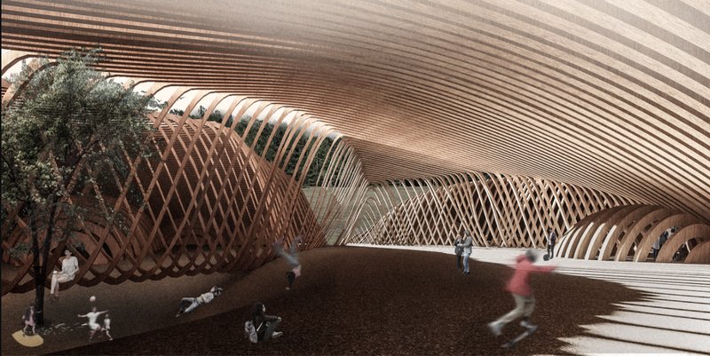 Parametric wooden shell forming a fluid, open learning landscape