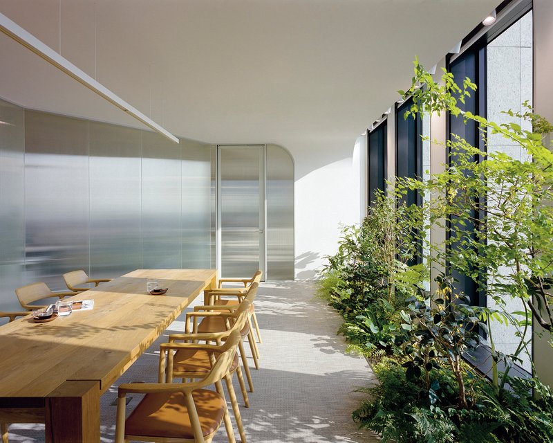 Long timber dining table with chairs alongside planted bed with bamboo in sunlight
