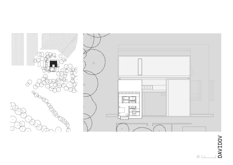 Section drawing showing two-story volume with split levels and adjacent site plan with trees