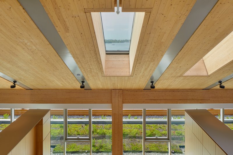 Skylight framed by exposed timber beams and ceiling panels above a vegetated green roof beyond the windows