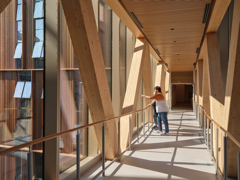 Enclosed bridge with diagonal timber bracing and a visitor pausing by the glass railing