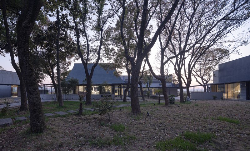 Illuminated glass walls of the pavilion visible through bare tree trunks at dusk
