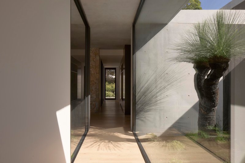Glazed corridor with concrete walls and native grass tree casting shadows in afternoon sun