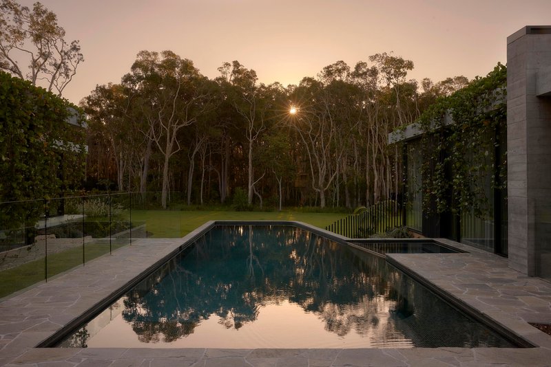Lap pool reflecting eucalyptus trees at dusk with glass balustrade and stone paving