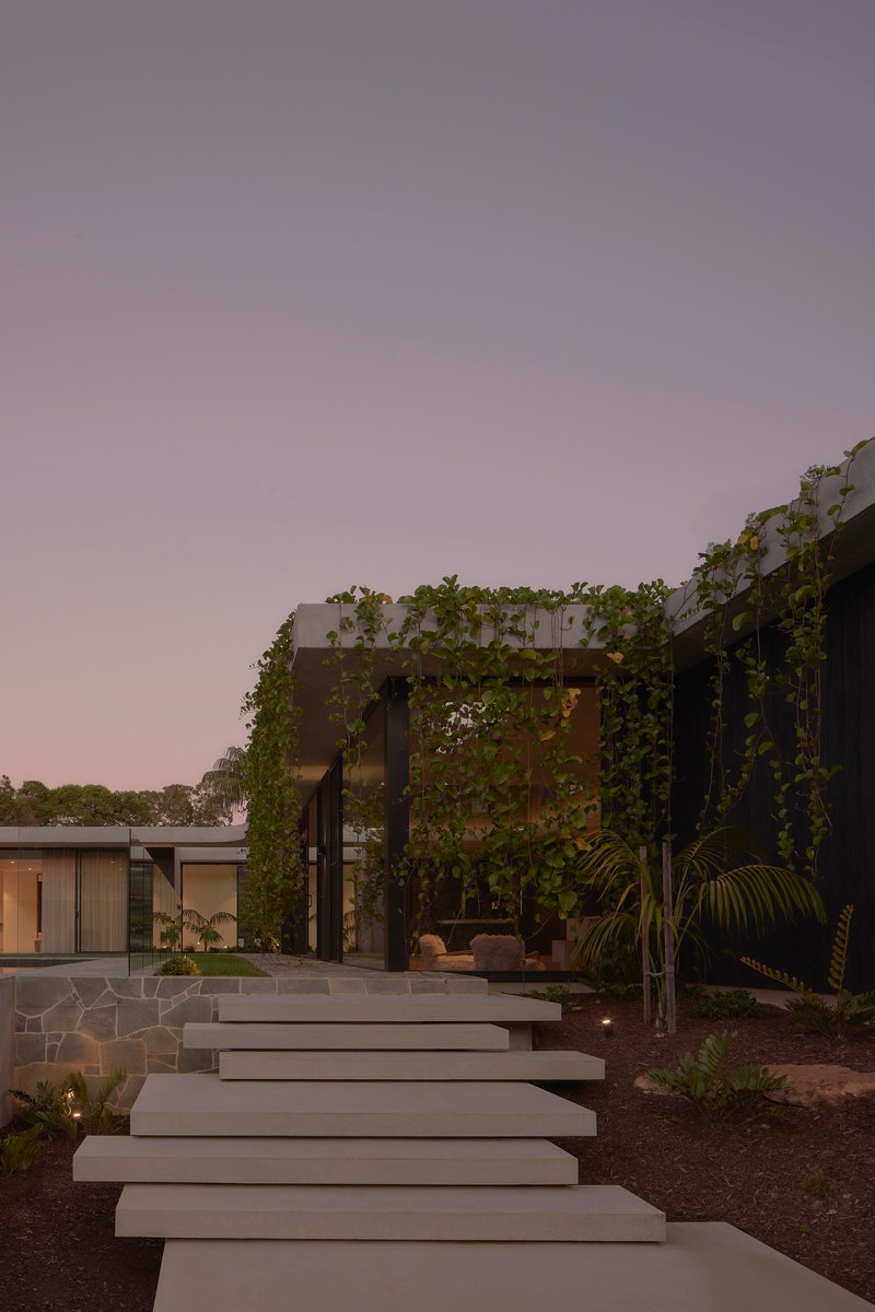 Cantilevered concrete steps leading to a vine-covered pergola structure at dusk