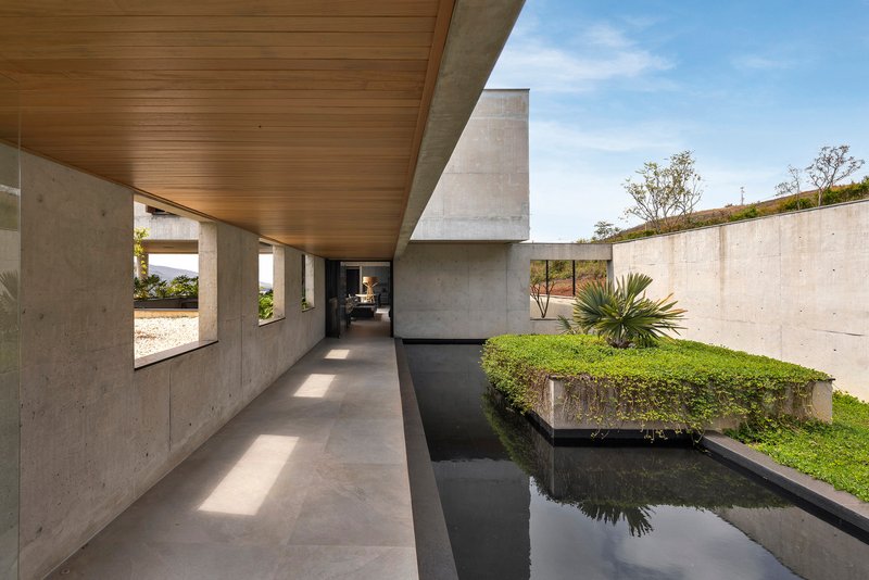 Covered walkway alongside a reflecting pool with timber ceiling and planted courtyard walls