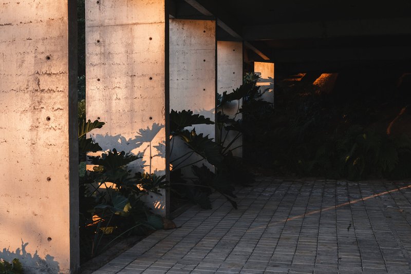Board-formed concrete walls casting shadows on brick pavers beside potted cactus plants at dusk