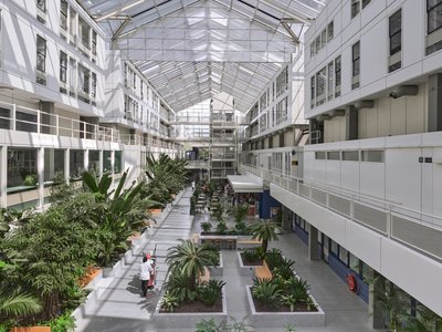 Bureau Ira Koers and Studio Roelof Mulder Transform a 1980s Dutch Hospital into an Indoor Jungle