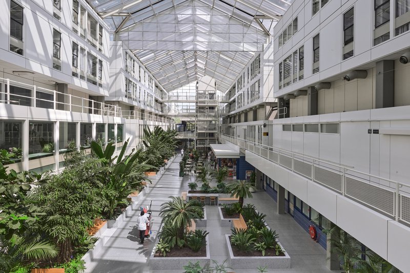 Bureau Ira Koers and Studio Roelof Mulder Transform a 1980s Dutch Hospital into an Indoor Jungle