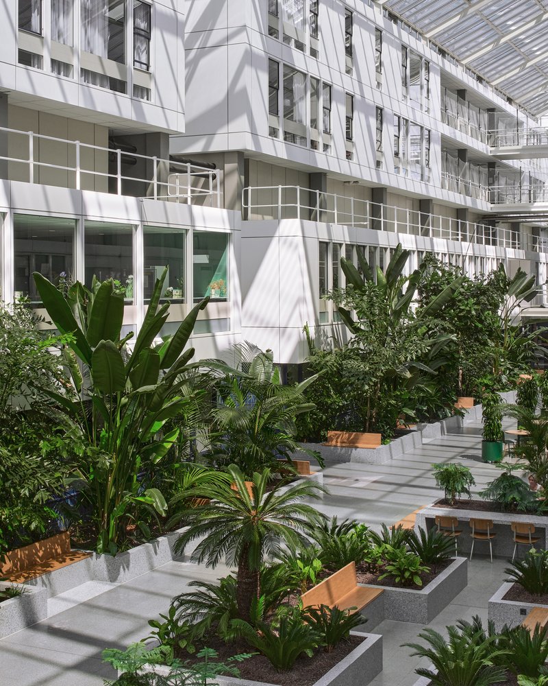 White facade balconies with shadows cast across planted beds of palms and tropical foliage