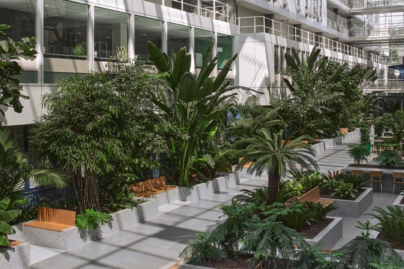 Stepped concrete planters with palms casting dappled shadows across paved atrium floor
