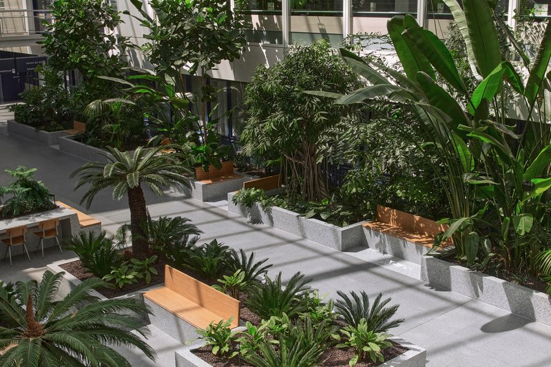 Terraced planting beds with timber benches and tropical plants casting dappled shadows on the floor