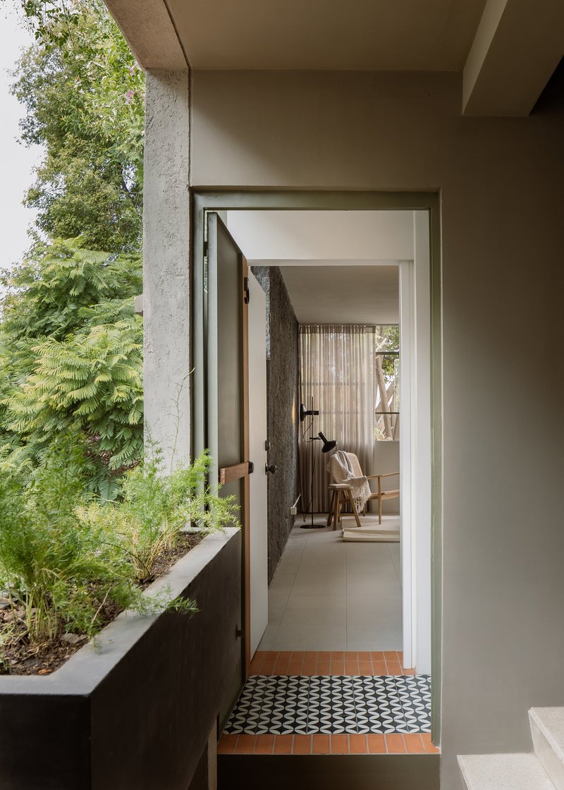 Open doorway framed by a planted bed with ferns leading to an interior threshold