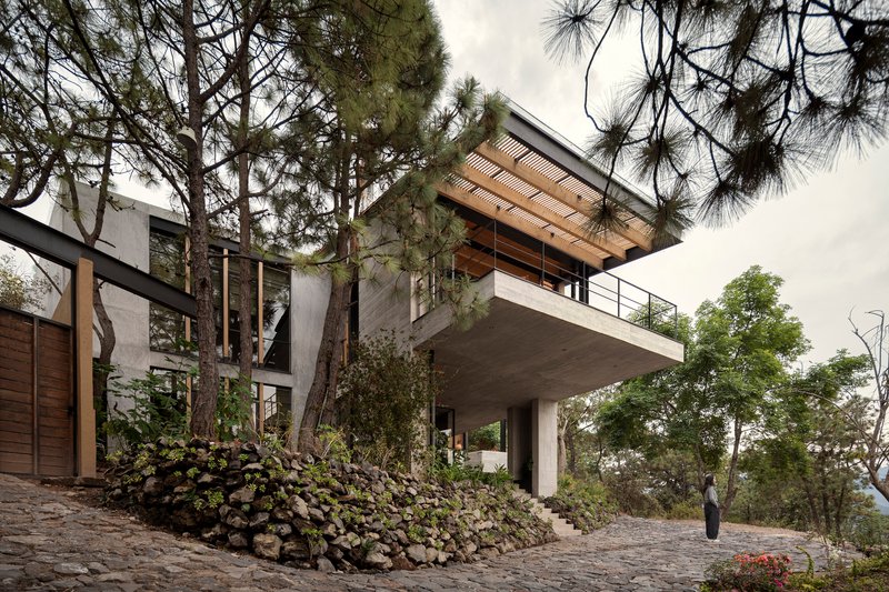 Concrete cantilevered terrace with timber slatted soffit and railing among tall pine trees on a hillside