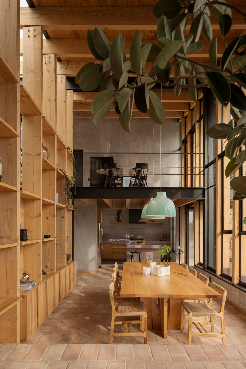 Double-height dining space with timber shelving wall and suspended metal mezzanine with potted rubber plant overhead