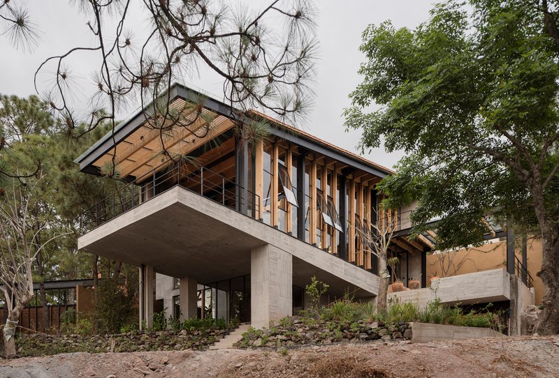 Elevated concrete volume with vertical timber louvers and exposed roof structure among pine trees on a hillside