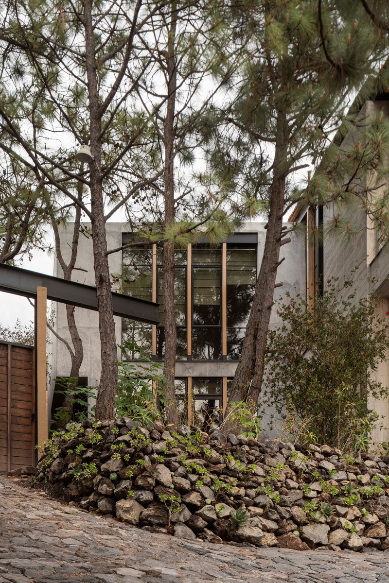 Concrete facade with tall glazed openings framed by pine trunks and a stone retaining wall below
