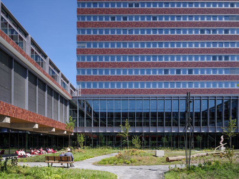 Courtyard with young trees and planted beds between the low brick wing and glass tower facade