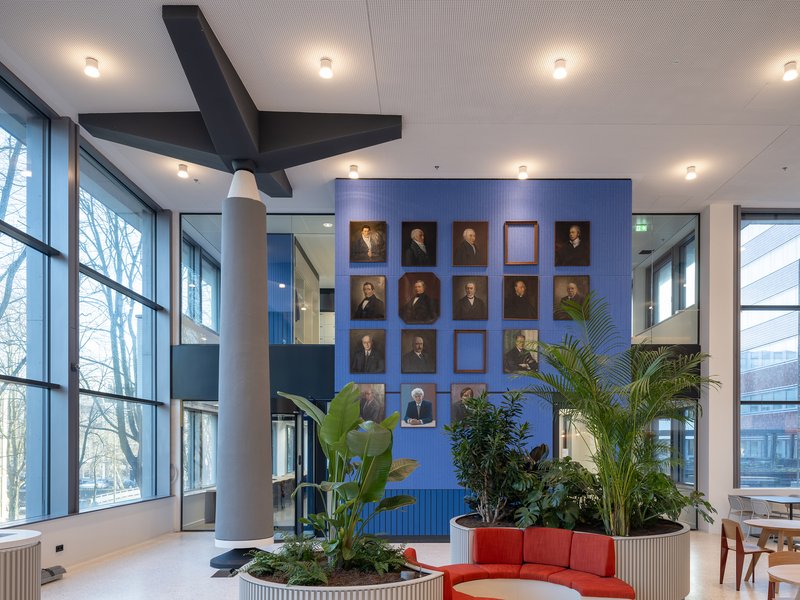 Interior foyer with blue portrait wall, exposed black ceiling beam, potted palms and full-height glazing