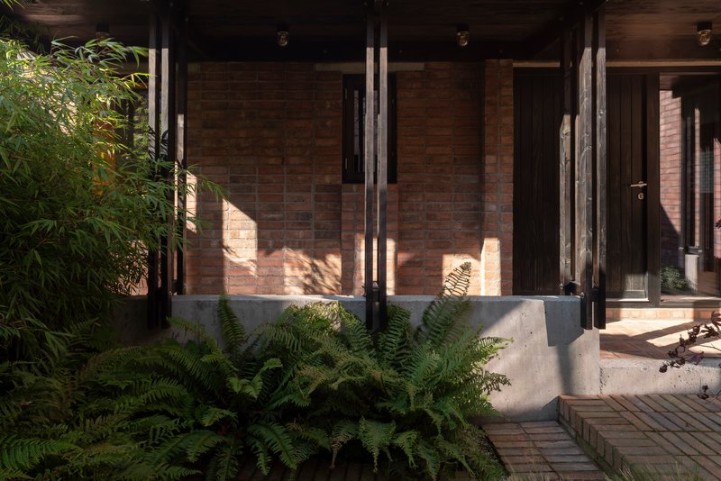 Concrete planter bed with ferns and brick paving, shadows cast on brick wall behind glass doors