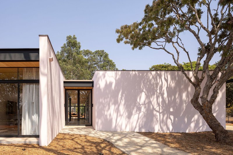 Exterior view of single-storey volumes with timber soffit and mature eucalyptus canopy overhead