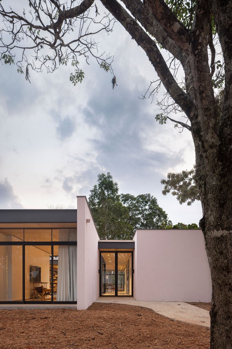 Glazed pavilion entry connecting two white rendered volumes framed by overhanging eucalyptus branches at dusk