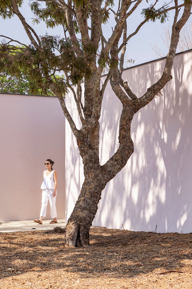 Courtyard with gnarled tree trunk casting dappled shadows on the white rendered wall