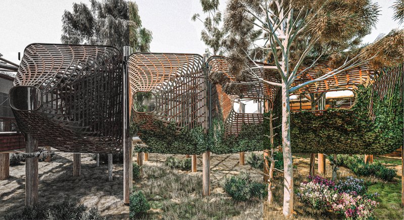 Organic timber skins and elevated pathways allow the sanctuary to merge seamlessly with Queensland’s fragile forest ecosystem.