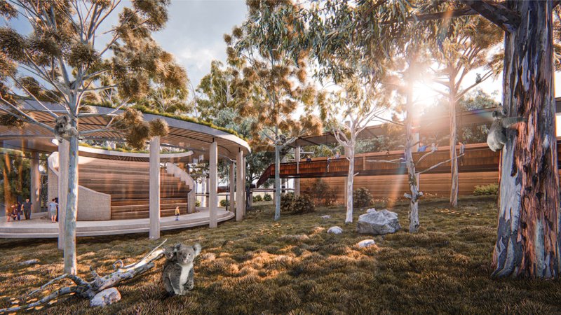 The educational amphitheater creates a shared environment where conservation, rehabilitation, and public awareness coexist within nature.