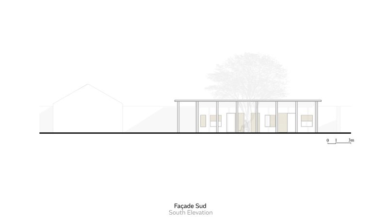 South elevation drawing showing glazed facade with interior furniture visible and a tree behind the structure