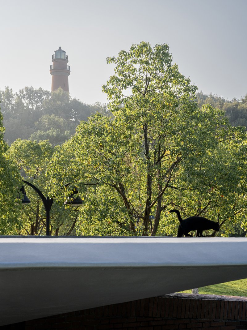 White curved roof edge with silhouetted dog and distant lighthouse emerging through morning mist