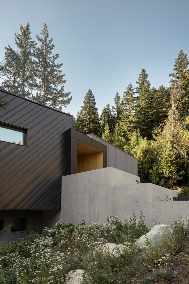 Dark metal-clad facade with angled roof meeting poured concrete wall and wildflower meadow planting