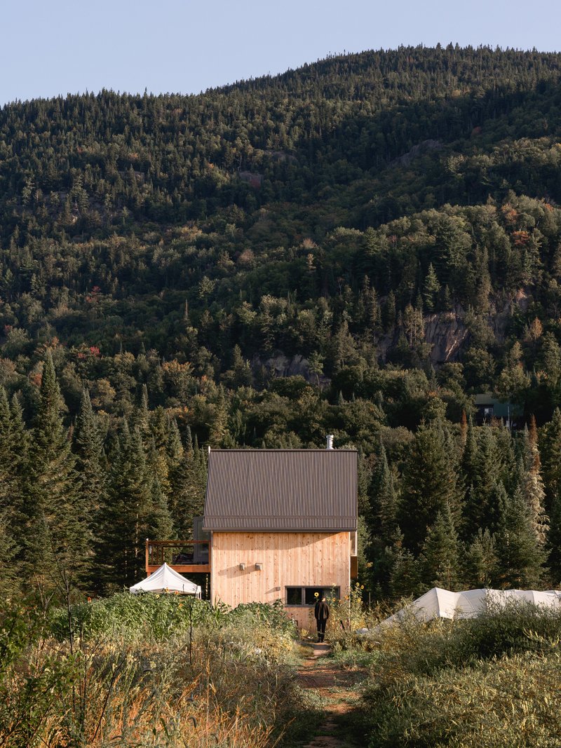 Vertical timber cabin with corrugated metal roof set among dense conifer forest on a sloping hillside