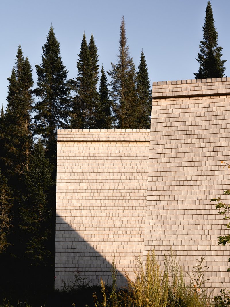 Stepped cedar shingle wall catching afternoon light with conifer forest and low vegetation in foreground