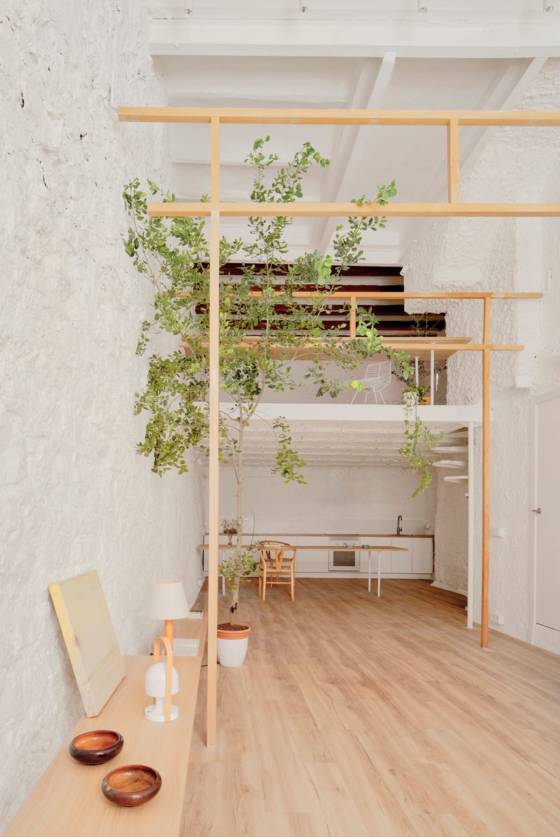 Double-height interior with timber shelving frame and potted climbing plants against white masonry walls