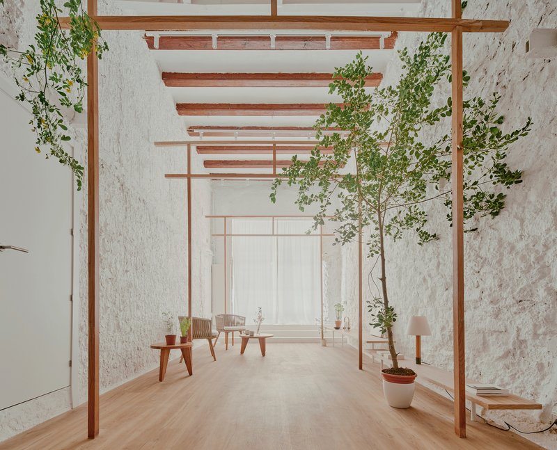 Interior corridor with timber frame portals, whitewashed brick walls and potted trees on pale wood flooring