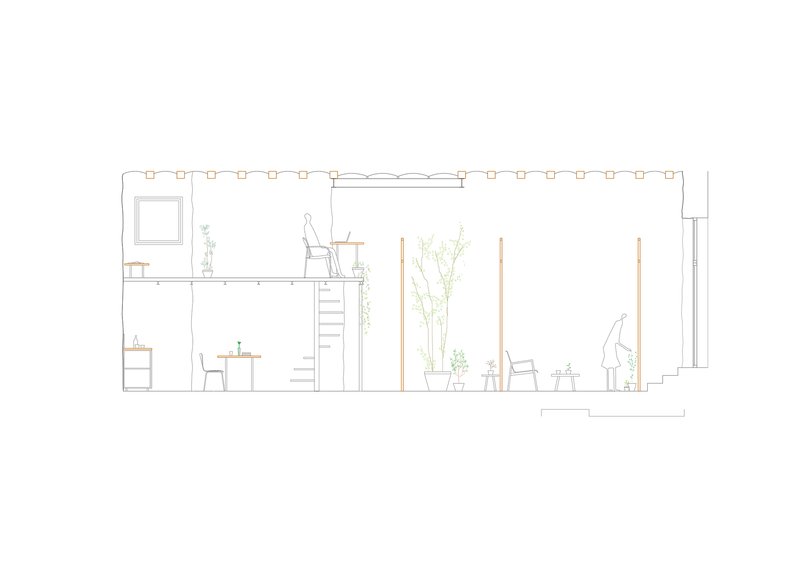 Section drawing depicting interior volumes with furniture, potted plants and mezzanine level with storage