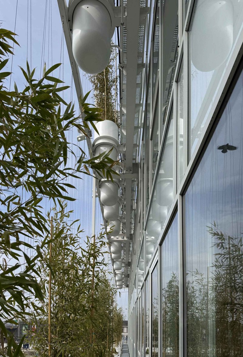 Glass curtain wall with cable-suspended egg-shaped ventilation pods and bamboo plantings below
