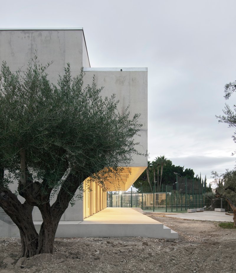 Concrete volumes with an illuminated yellow canopy entrance beside an olive tree at dusk