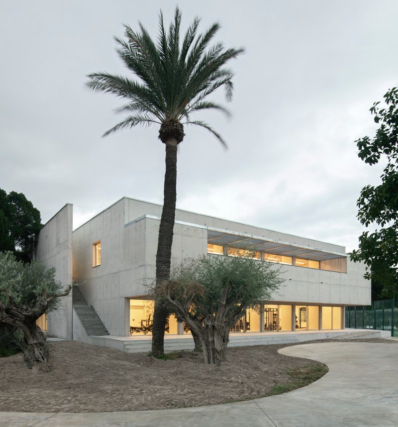 Two-story concrete facade with horizontal windows glowing at twilight beside palm and olive trees