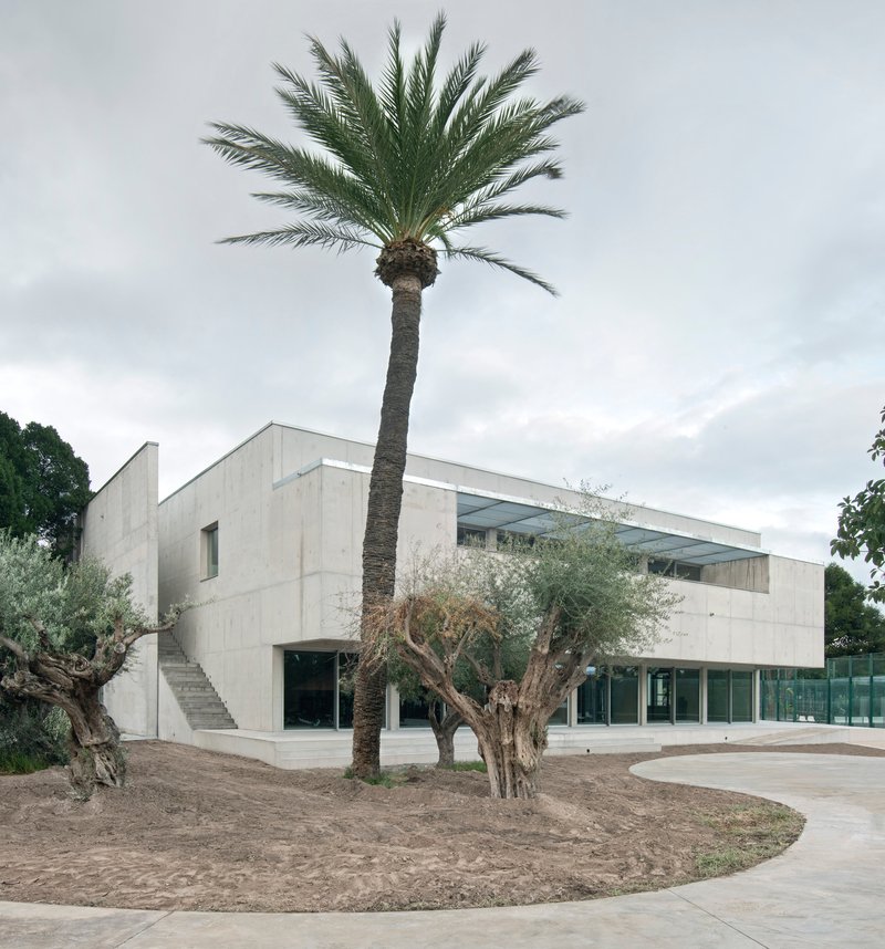 Concrete facade with glazed upper band set among olive trees and palm under overcast sky