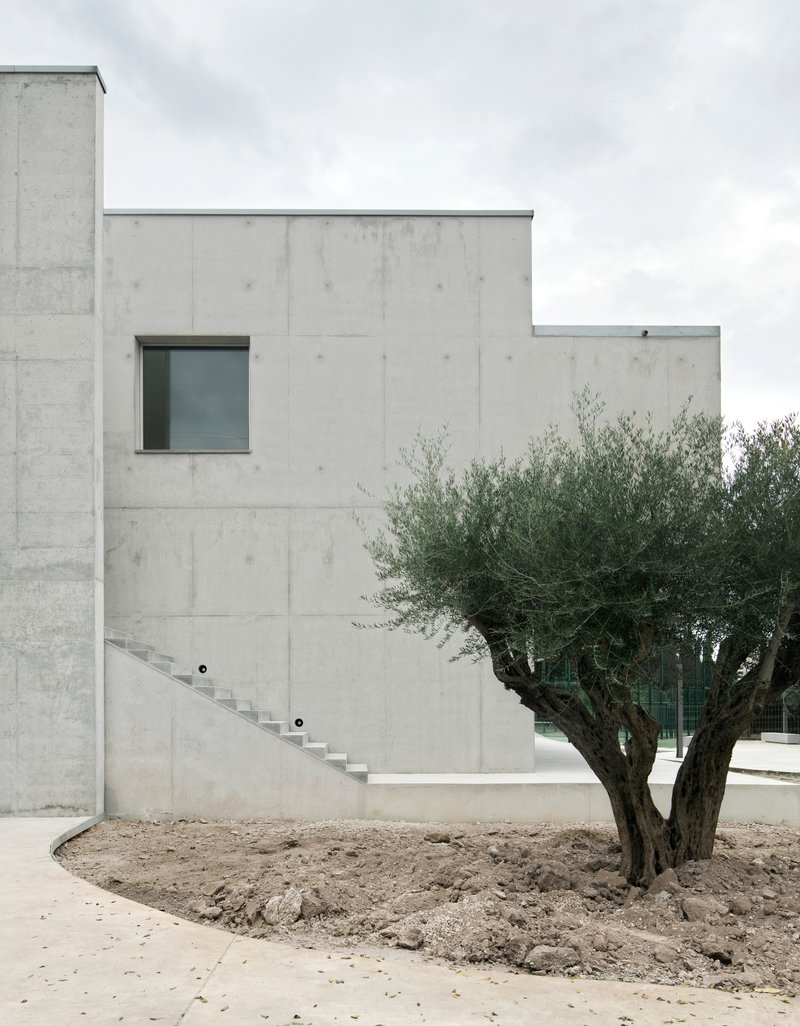 Stepped concrete volumes with exterior staircase ascending beside a gnarled olive tree under cloudy sky