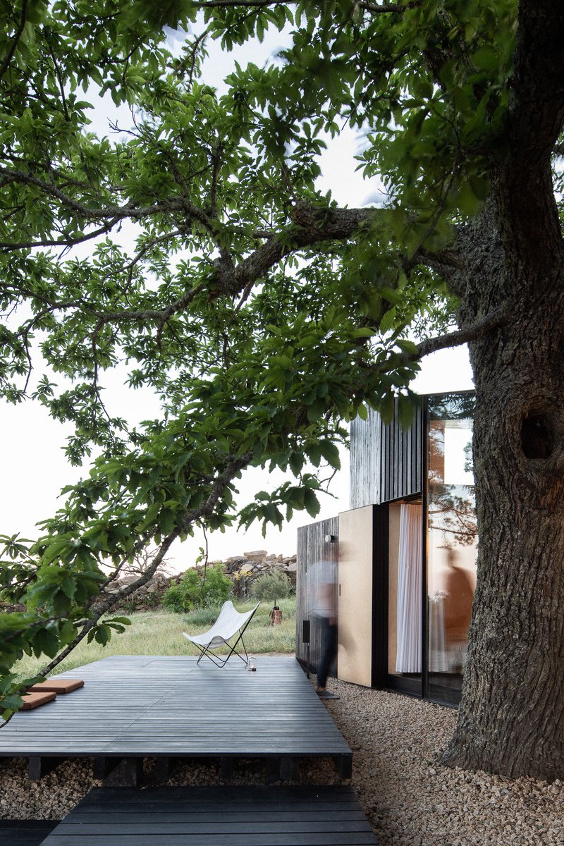 Timber deck terrace beneath a broad tree canopy with a vertical slatted facade and folding chair