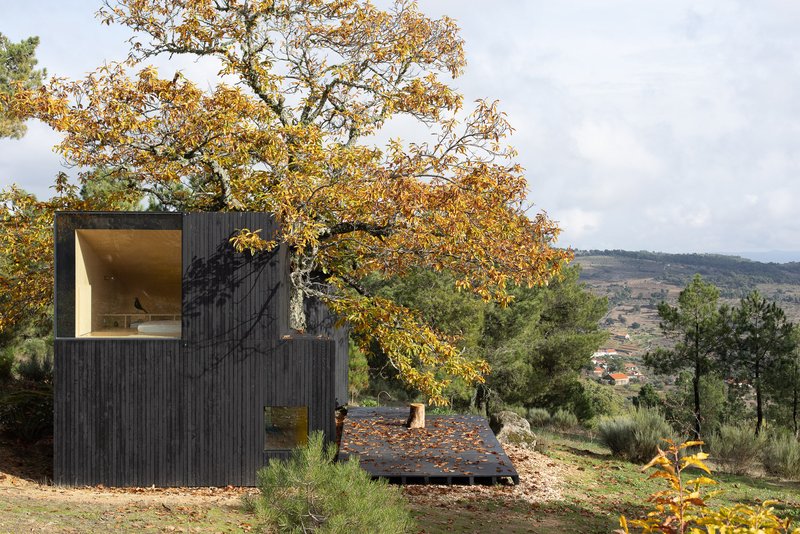 Vertically ribbed facade with framed window opening overlooking a hillside valley in autumn
