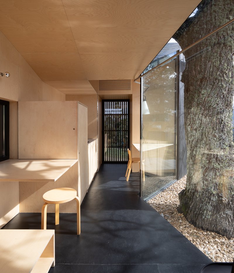 Interior corridor with plywood walls and ceiling alongside glazed wall revealing tree trunk and gravel courtyard