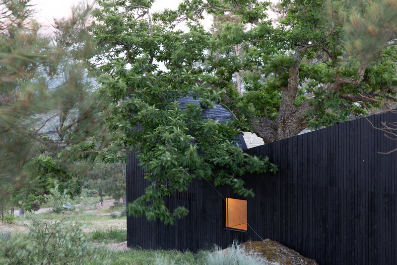 Glowing square window in the black timber facade beneath summer foliage at dusk