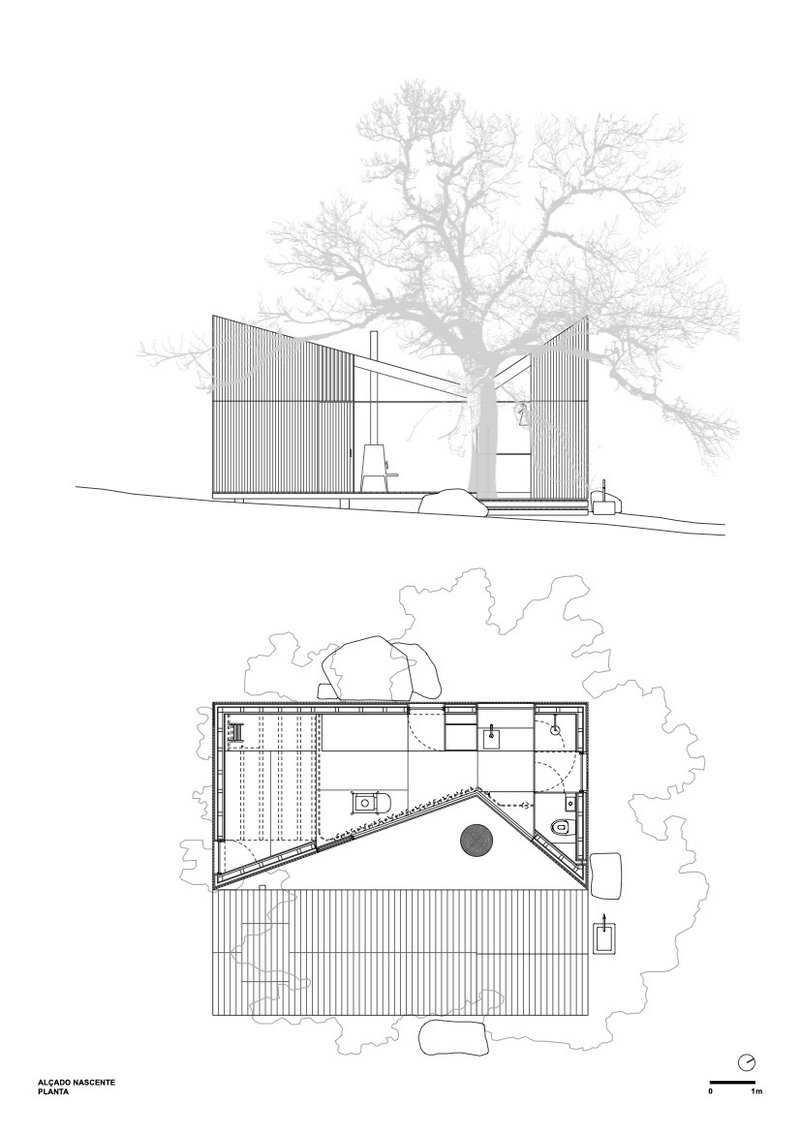 Elevation and floor plan drawings illustrating the split-level layout and relationship to existing tree